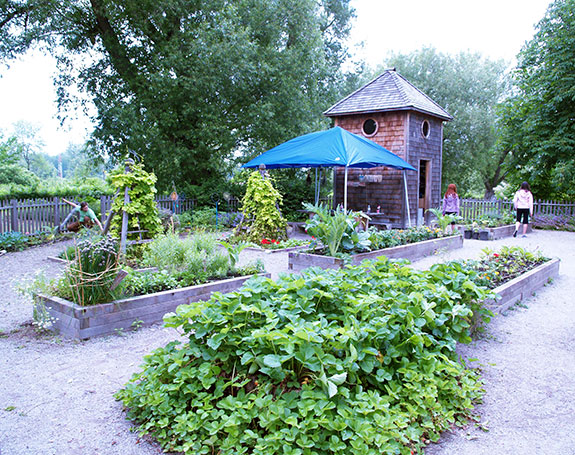 Park image